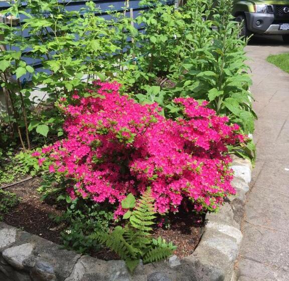 膳宿费 Cobble Wood And Bird Sanctuary Guest Houses