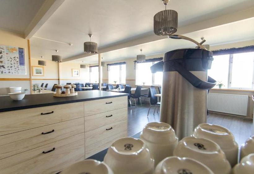 پانسیون Eyjólfsstadir Guesthouse
