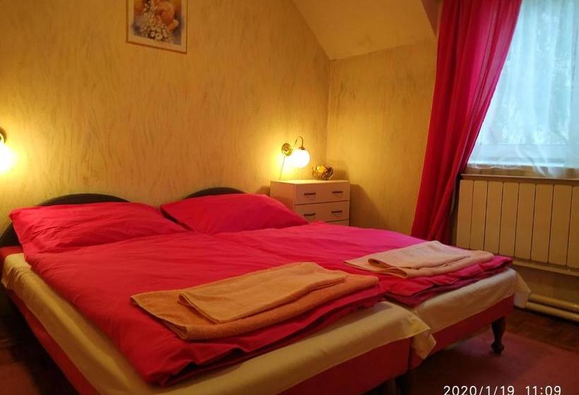 بنسيون Mathias Lovasudvar