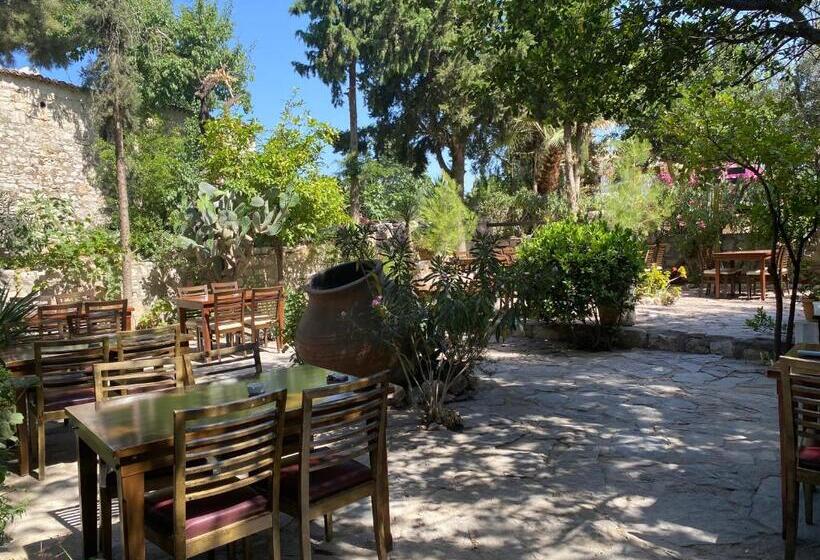 פנסיון Medusa House Butik