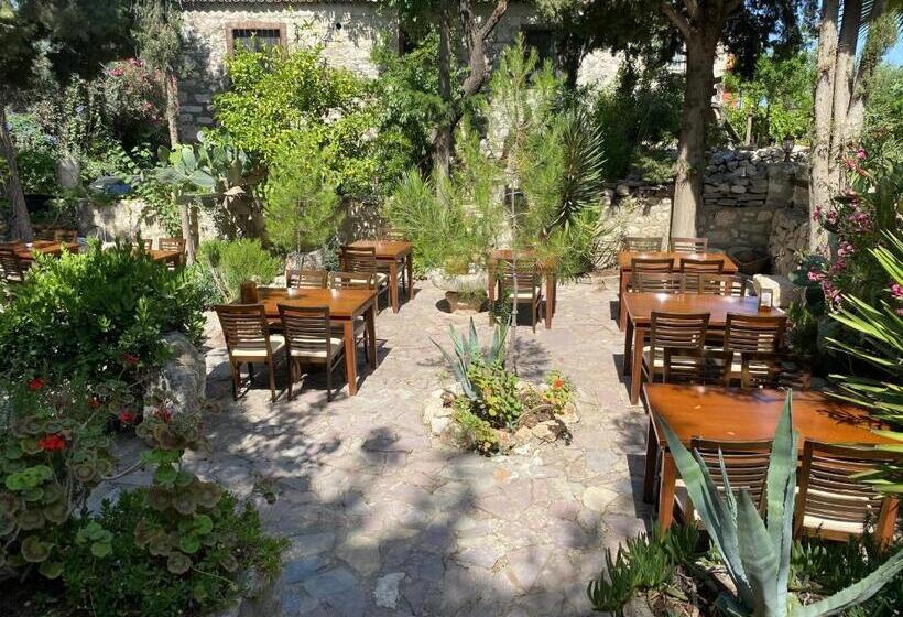 פנסיון Medusa House Butik