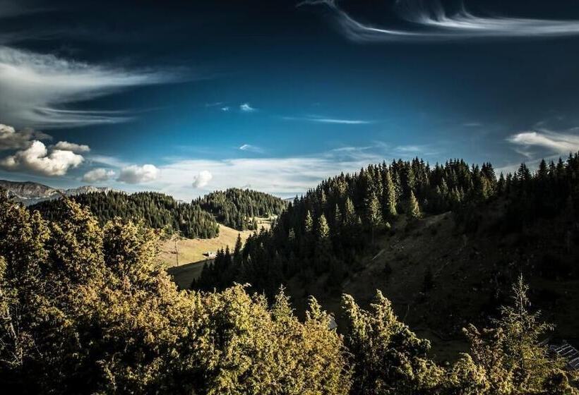 Pensiunea Padina Ursului