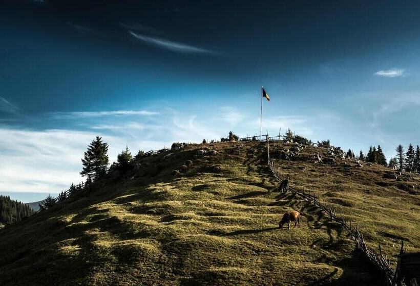 Pensiunea Padina Ursului