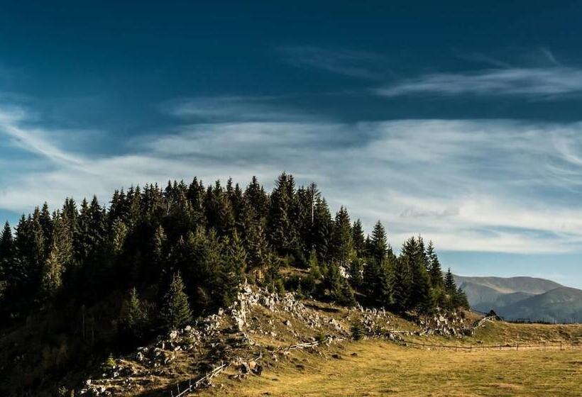 Pensiunea Padina Ursului