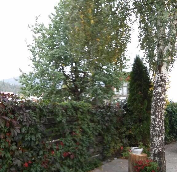 Пансион Vila Dariana