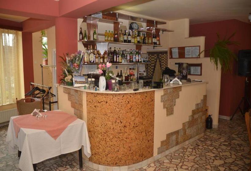 Pensiunea La Palaguta