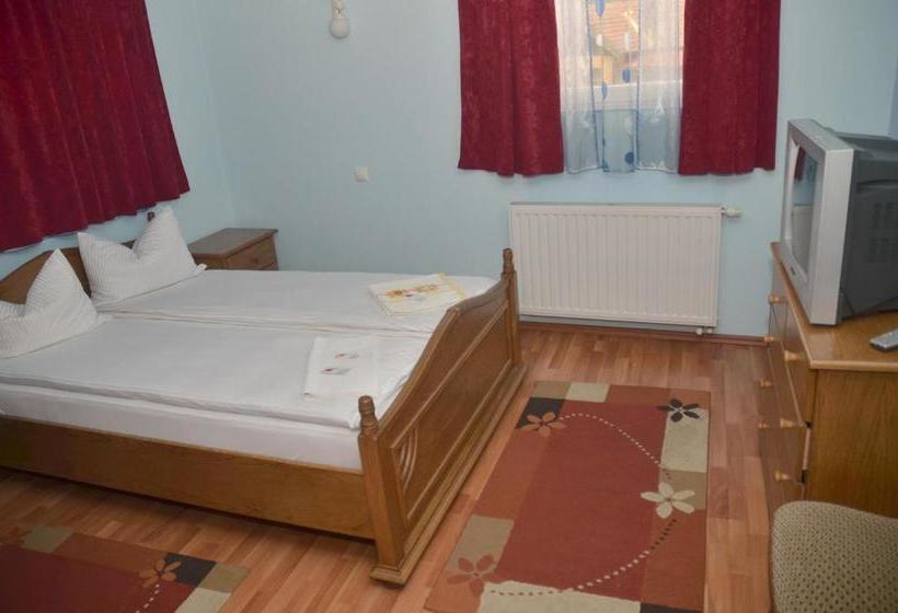 Pensiunea La Palaguta