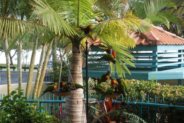 The Esplanade Riverview Holiday Apartments