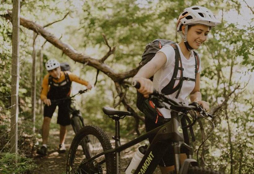 Vitalpina Hotel Schulerhof