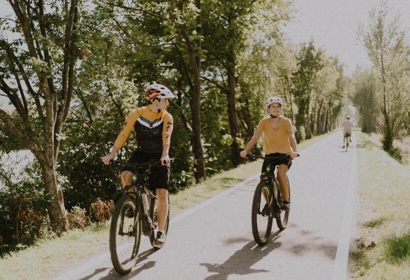 Vitalpina Hotel Schulerhof