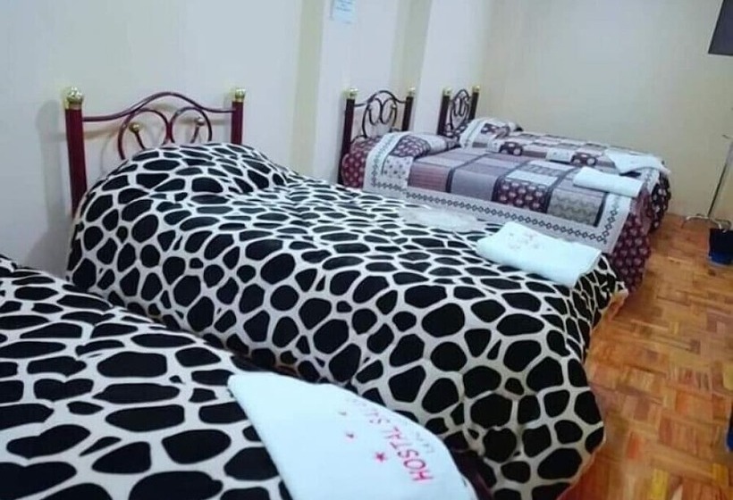 هاستل Hostal Salas