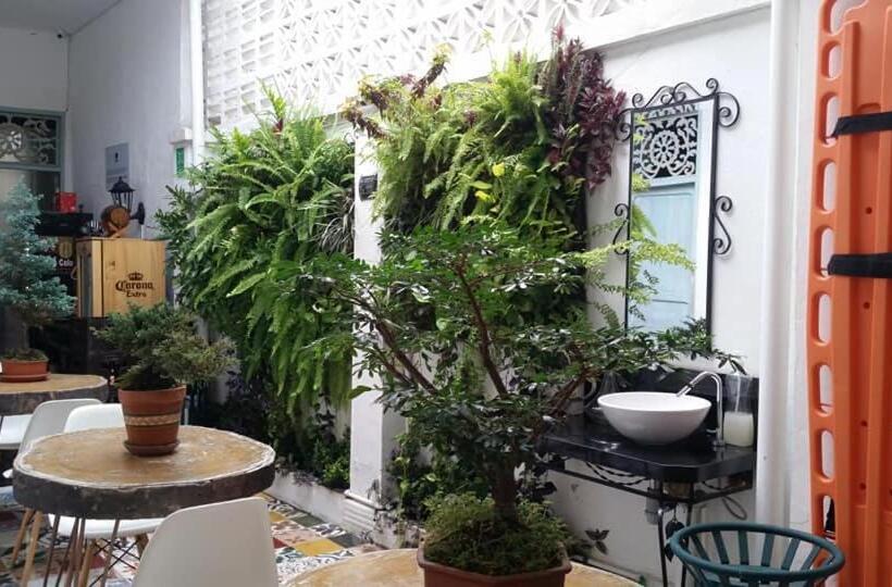 ユースホステル Moonshine Boutique Hostal