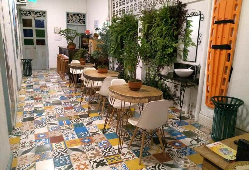 ユースホステル Moonshine Boutique Hostal