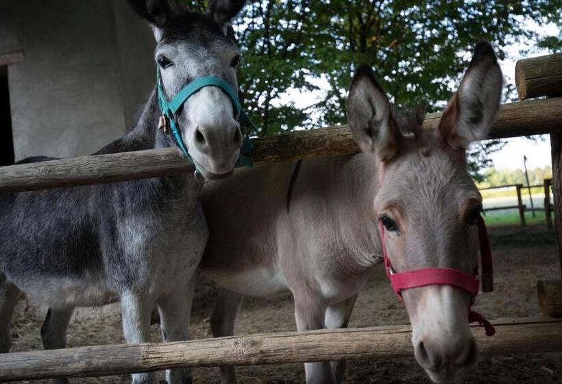 בית מלון כפרי Agriturismo La Campagnola