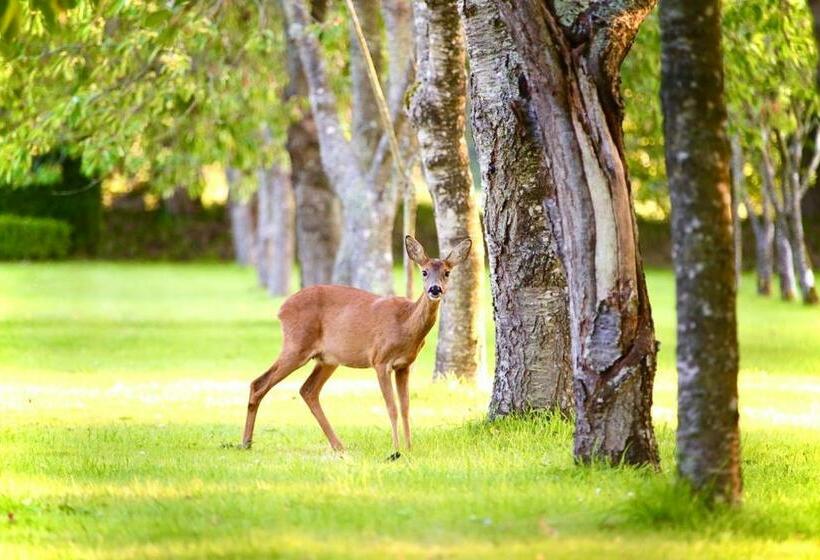 فندق Chateau Du Bu