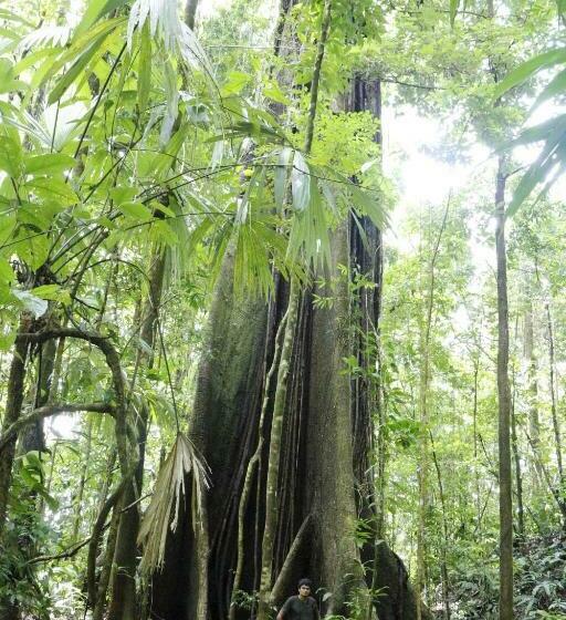 هتل Finca Sueno De Osa