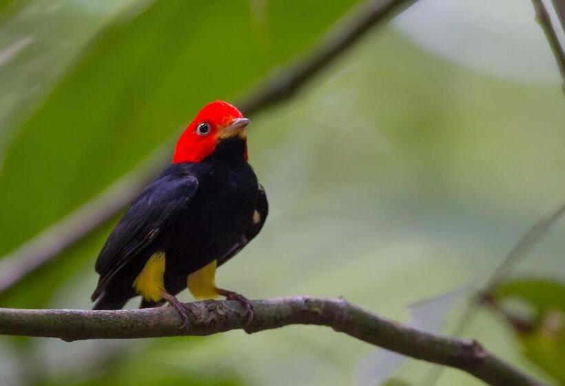 هتل Finca Sueno De Osa