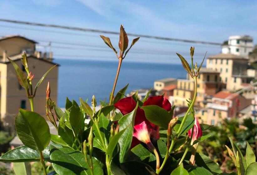 پانسیون Cinque Terre Coast To Coast