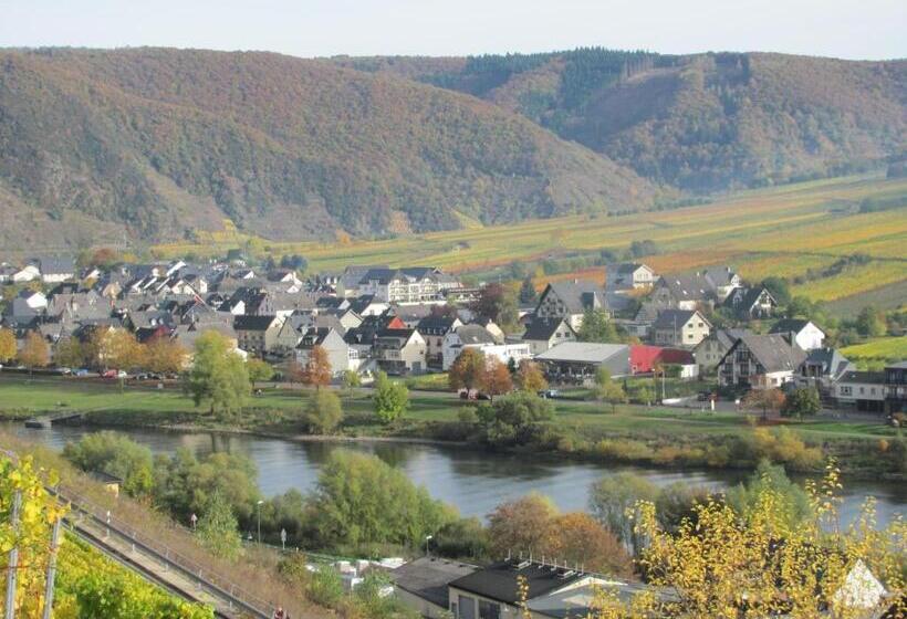 بنسيون Weinhotel Sonnenschein