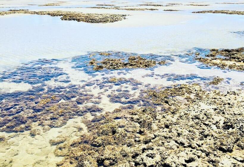 膳宿费 Pousada Sao Miguel Dos Milagres