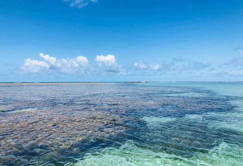 膳宿费 Pousada Sao Miguel Dos Milagres