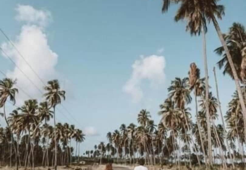 膳宿费 Pousada Sao Miguel Dos Milagres