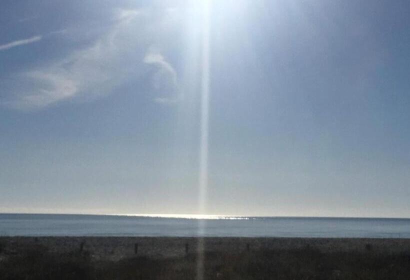 膳宿费 Sa Murta Bianca Guesthouse