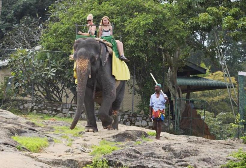 Пансион Sath Rest