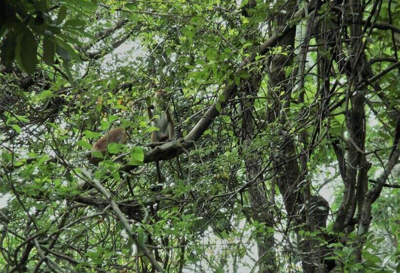 Пансион Sath Rest