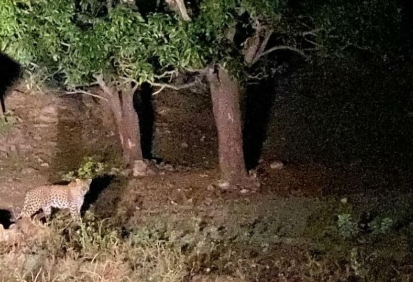 بنسيون The Junagarh Lodge Kumbhalgarh