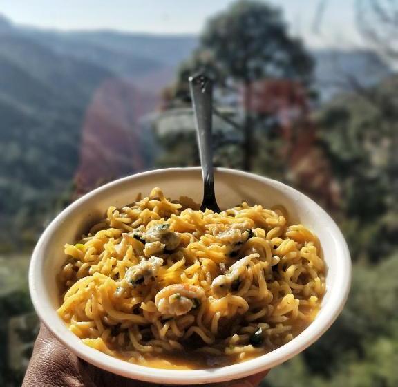 The Cocoon Camps & Nature Resorts