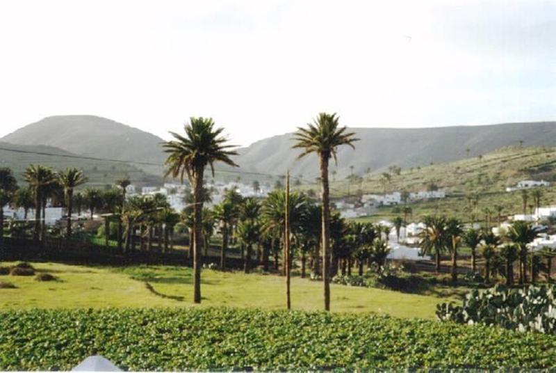 Apartamentos Celeste