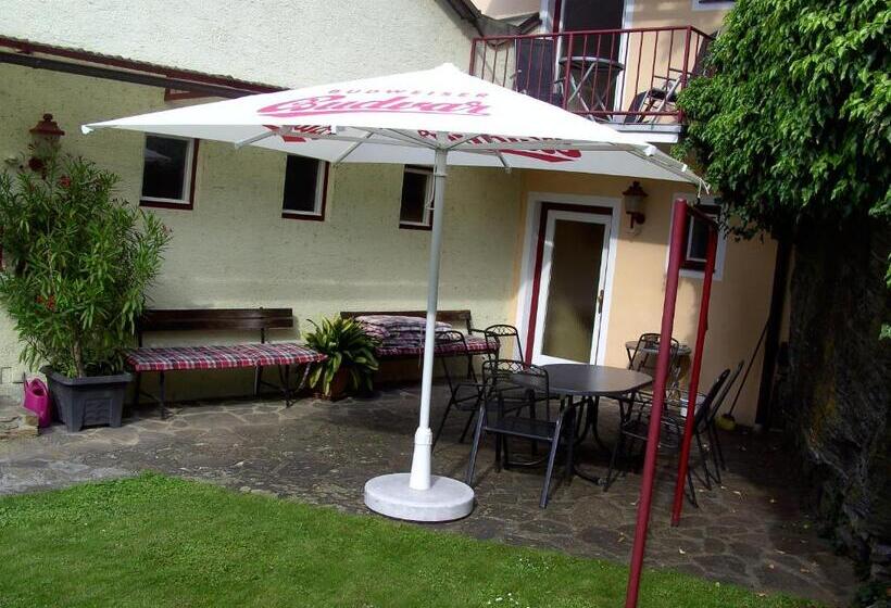 צימר Frühstückspension Leopold Janu