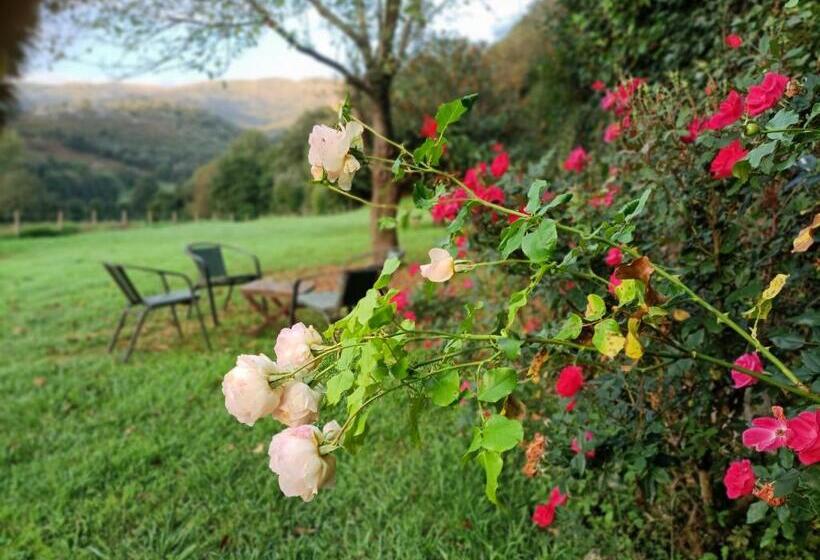 Boutique Villa De Palacios Palacio De Aras