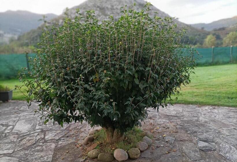 Boutique Villa De Palacios Palacio De Aras