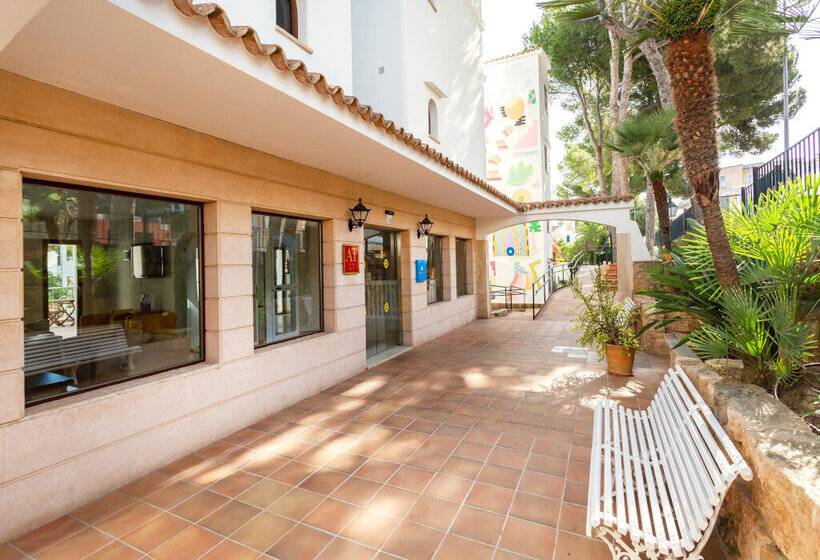 Flipflop Surfing Playa