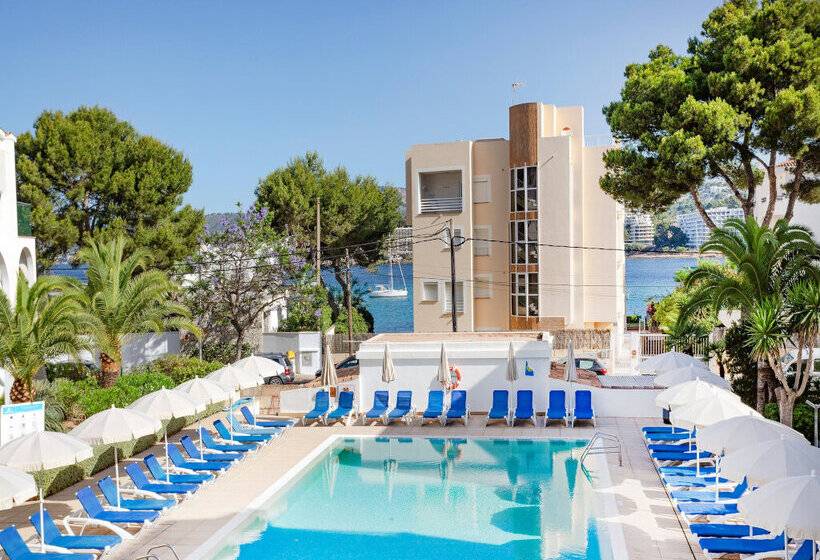 Flipflop Surfing Playa