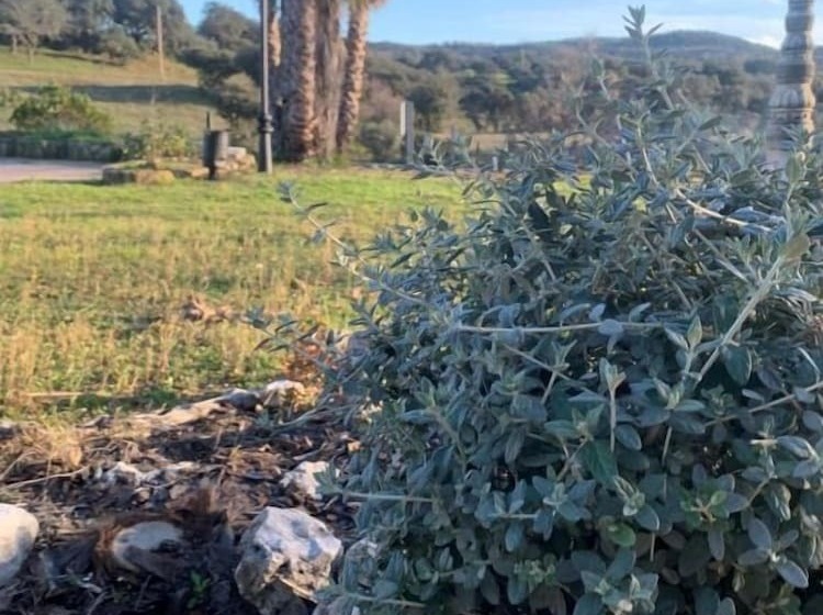 Hospedium Hotel Doña Mafalda De Castilla