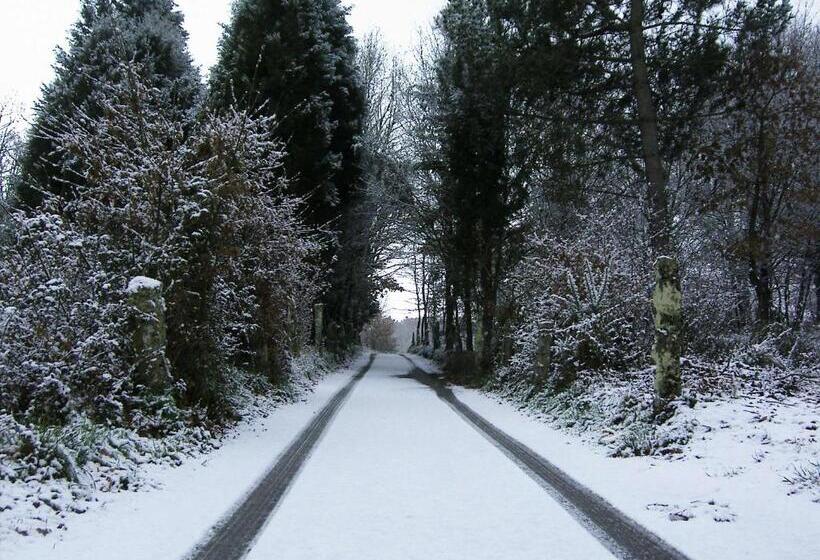 Отель A Palleira