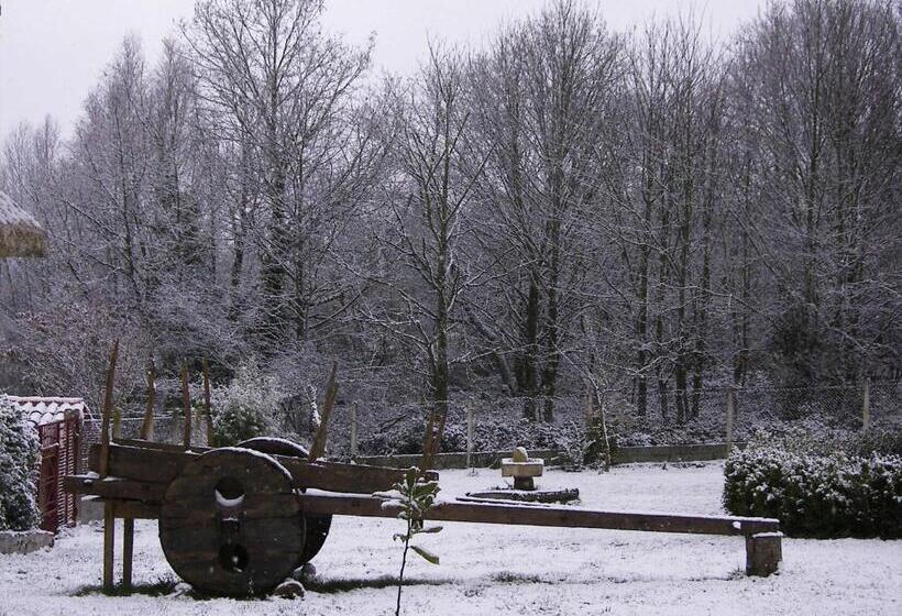 Отель A Palleira