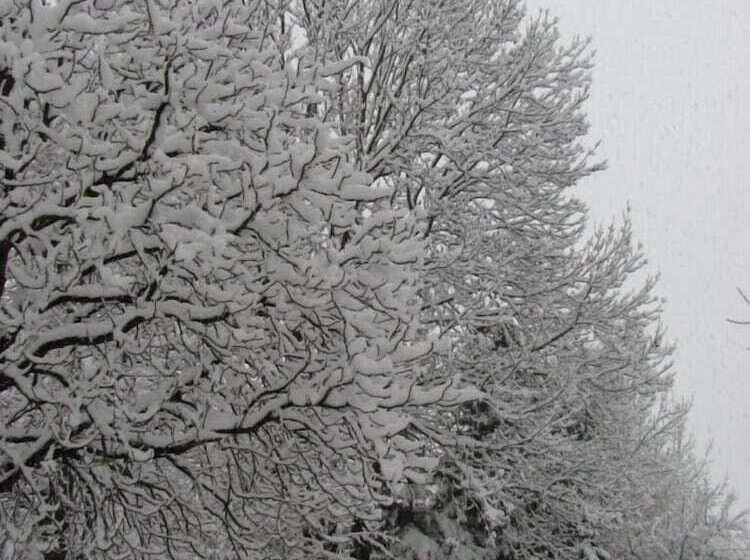 בית מלון כפרי Albergo La Genzianella