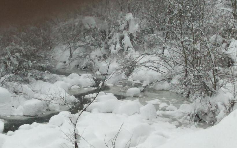 호텔 Albergo Martinet