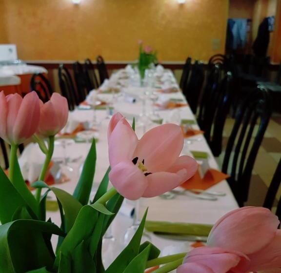 هتل Albergo Ristorante Delfino