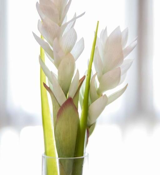 酒店 Alda Hospedería De Los Reyes