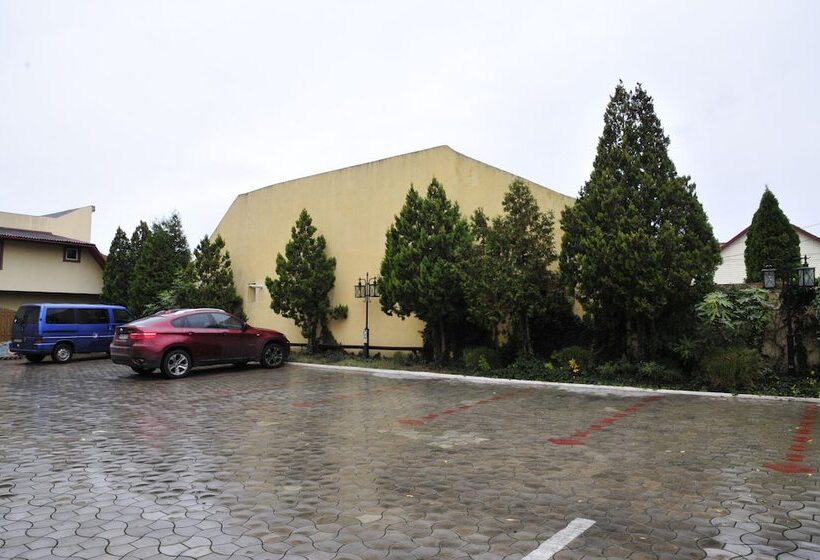 Отель Ambassador