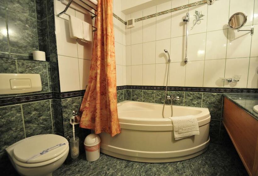 Отель Ambassador