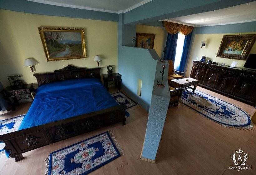 Отель Ambassador