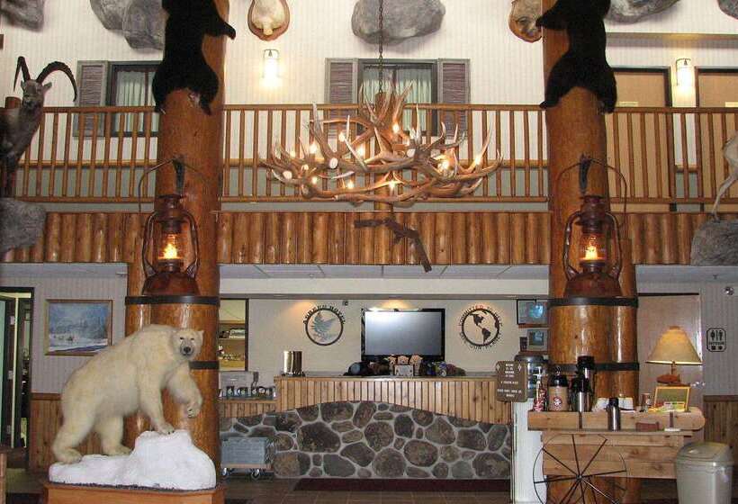 فندق Americinn By Wyndham Cody