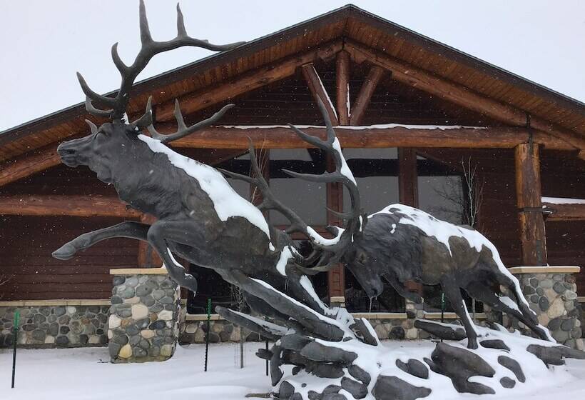 فندق Americinn By Wyndham Cody