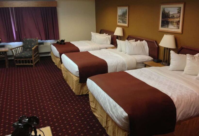 ホテル Americinn By Wyndham Cody